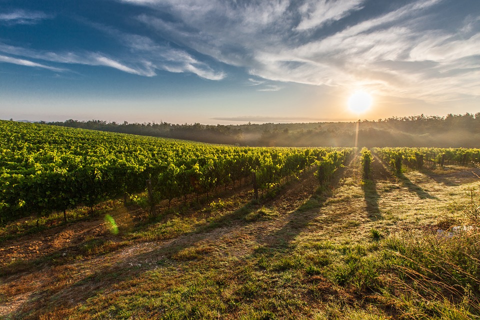 tuscany-428041_960_720
